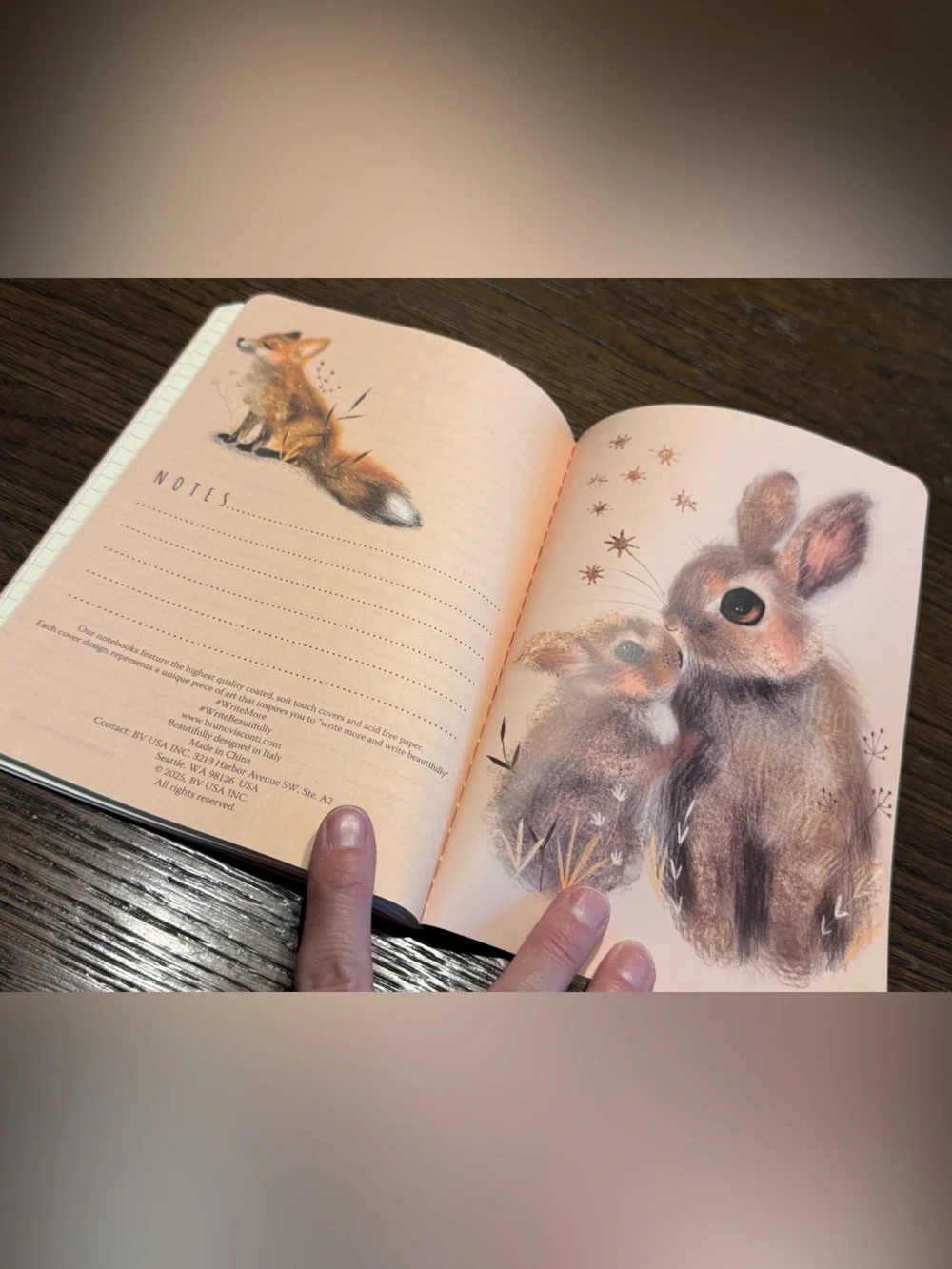 3 for $15 Bruno Visconti Soft Touch Baby Bunny and Mother Journal A5 NEW